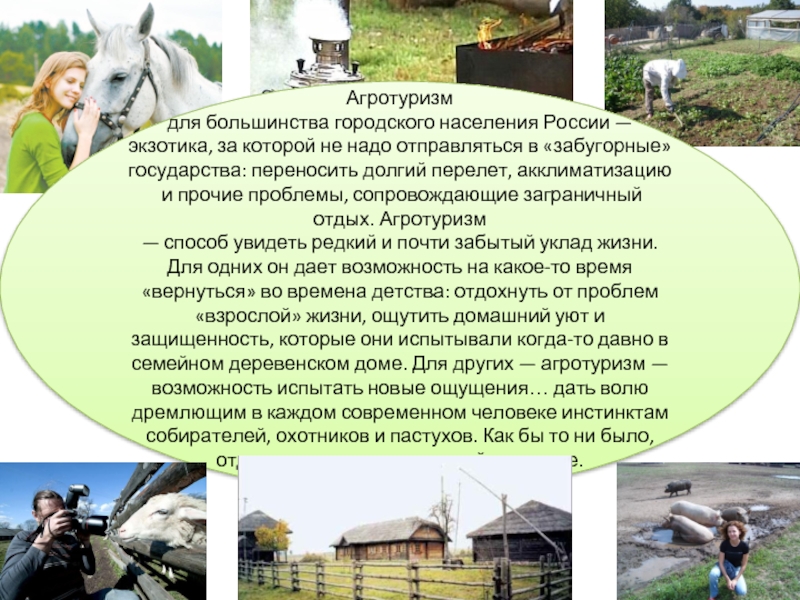 Агротуризм для большинства городского населения России — экзотика, за которой не