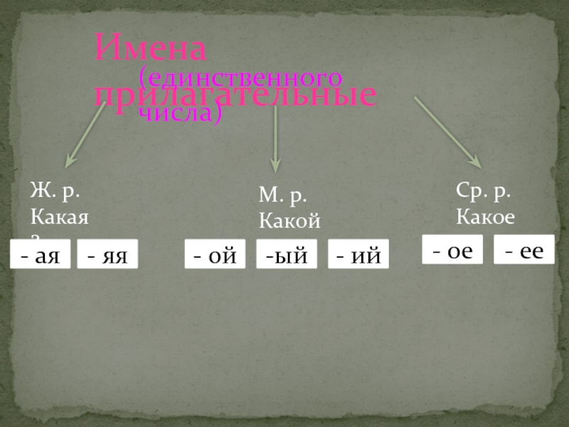 Ед ч ж. М.Р Ж.Р ср.р. М это какое число. Денёк ср.р.. Р он какой.