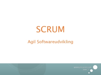 Scrum DK. Nye metoder: Agile Software Development