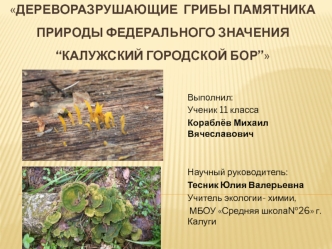 Дереворазрушающие грибы памятника природы федерального значения Калужский городской бор