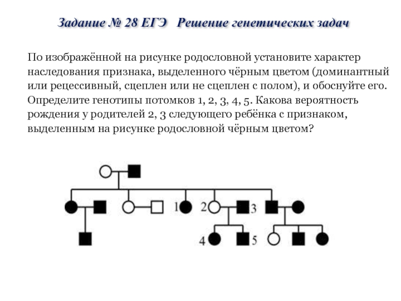 По изображенной на рисунке родословной определите и обоснуйте генотипы родителей потомков