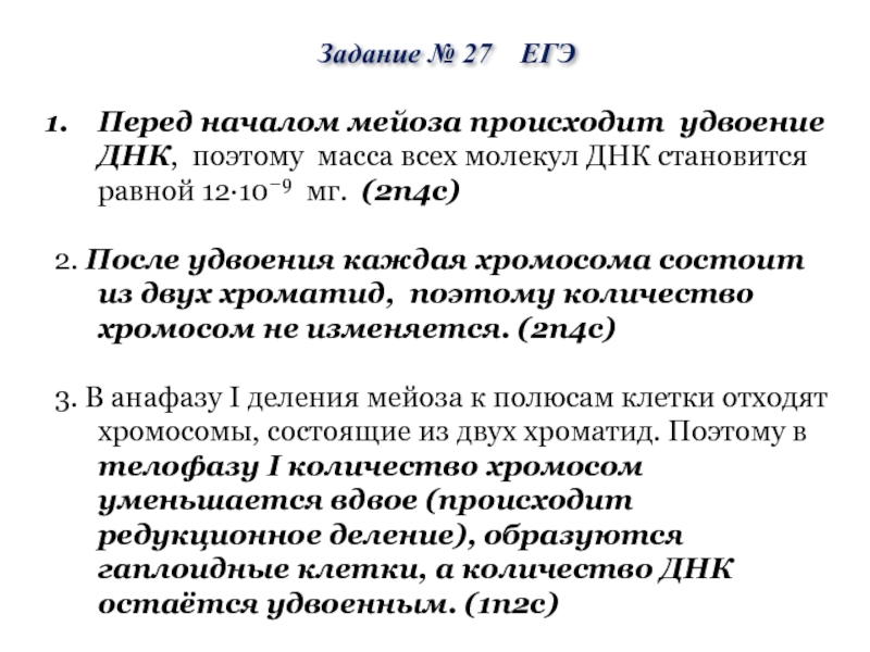 Перед началом мейоза происходит удвоение ДНК, поэтому масса всех молекул ДНК становится