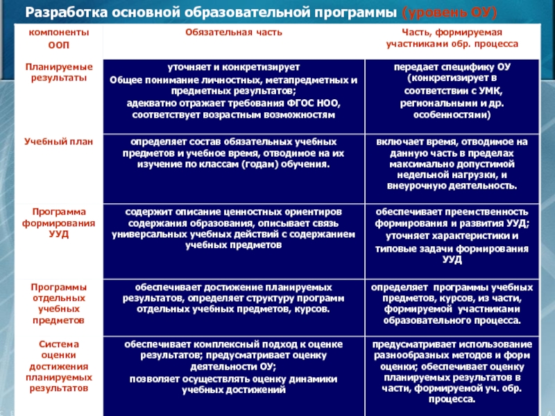 Разработчик учебных планов