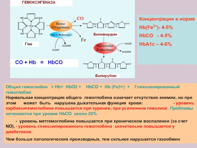 Схема связывания газов гемоглобином карбокси и метгемоглобин