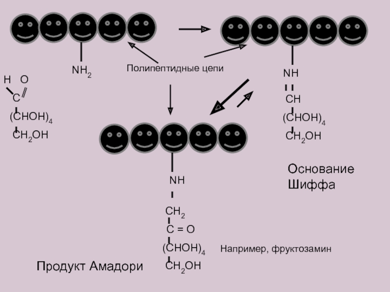 Полипептидные связи белков. Полипептидная цепь. Связи в полипептидной цепи. Полипептидная цепь белка. Продукт Амадори.
