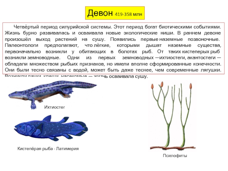 Наземные позвоночные чем дышат. Девон период. Силурийский период ароморфозы. Силурийская система.