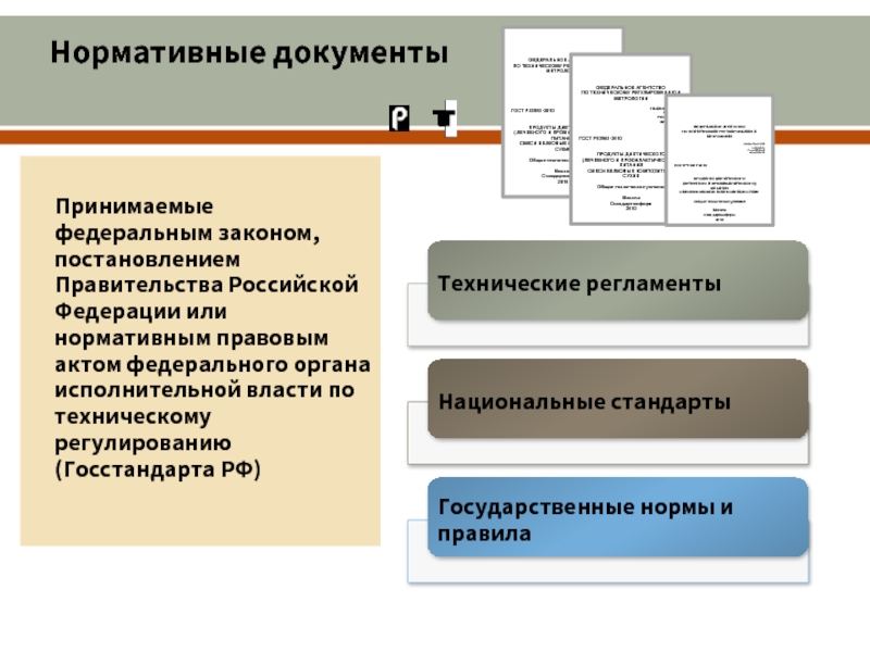 Регламент исполнительного органа