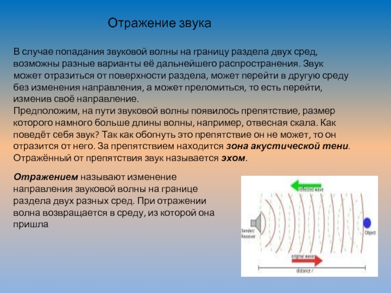 Эхо звук. Направление распространения звука. Отражение и поглощение звуковых волн. Отраженные звуковые волны. Схема отражения звука.