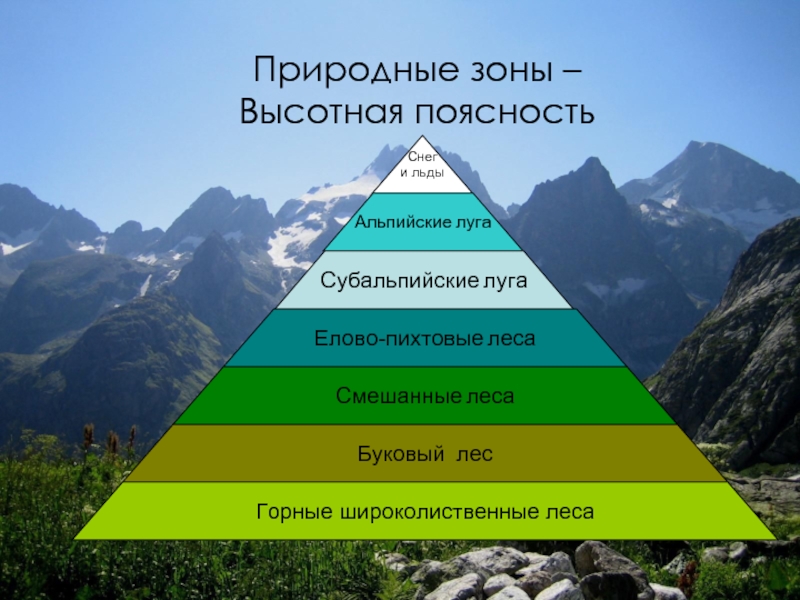 Природные зоны кавказских гор таблица. Природные зоны Кавказа Высотная поясность. Зоны ВЫСОТНОЙ поясности Кавказа. Высотная поясность в горах. Высотная поясность в горах Кавказа.
