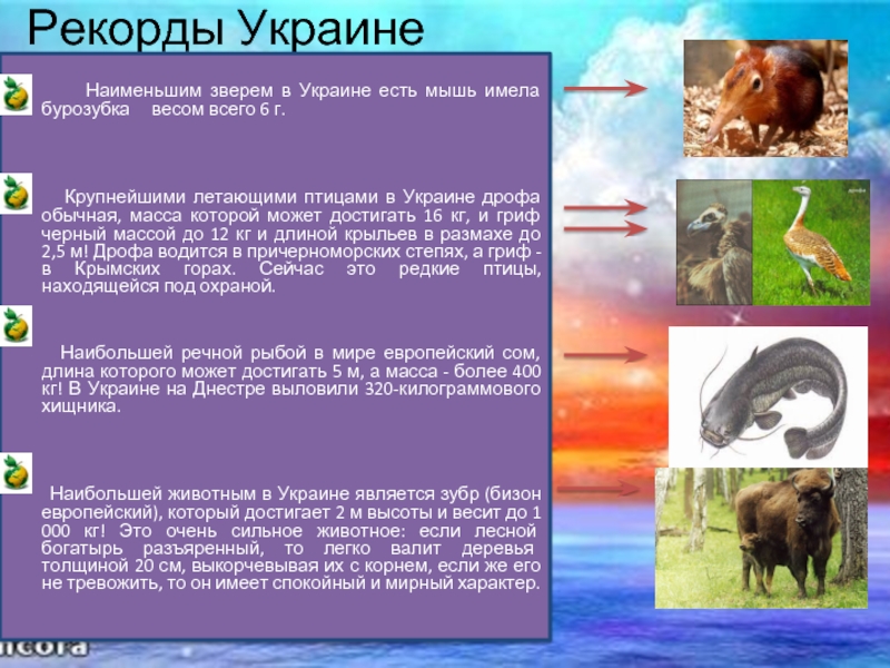 Животные ресурсы страны. Животные на украинском. Для животных ресурсами являются. Украина какой зверь. Традиционное животное Украины.