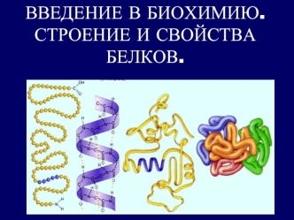 Введение в биохимию. Строение и свойства белков