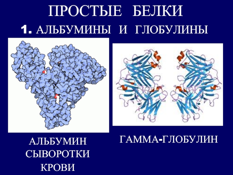 Альбумин иммуноглобулин. Глобулины структура биохимия. Белок альбумин структура белка. Альбумины и глобулины строение. Строение альбуминов и глобулинов.
