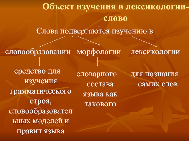 Части лексикологии