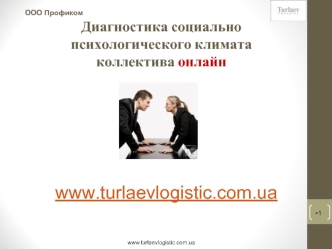www.turlaevlogistic.com.ua