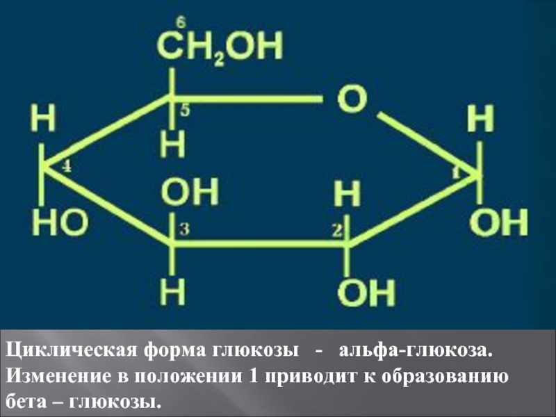 Формулой глюкозы является. Структурная формула Альфа Глюкозы и бета Глюкозы. Структурная формула циклической формы Глюкозы. Циклическая форма Альфа Глюкозы. Циклическая формула Глюкозы по химии.