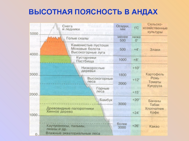 Схема высотная поясность