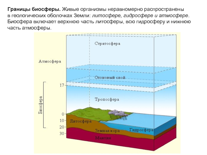 Атмосфера гидросфера литосфера рисунок