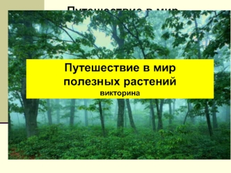 Путешествие в мир 
полезных растений
викторина