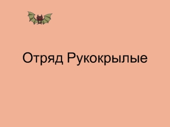 Отряд Рукокрылые