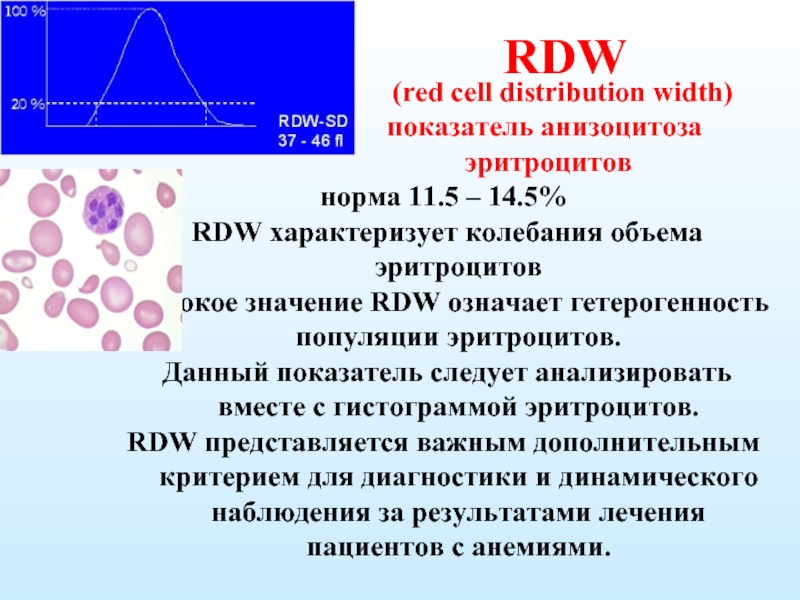 Что значит rdw sd в анализе крови