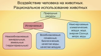 Воздействие человека на животных. Рациональное использование животных