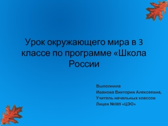 Урок окружающего мира в 3 классе по программе Школа России