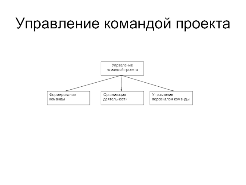 Состав команды управления