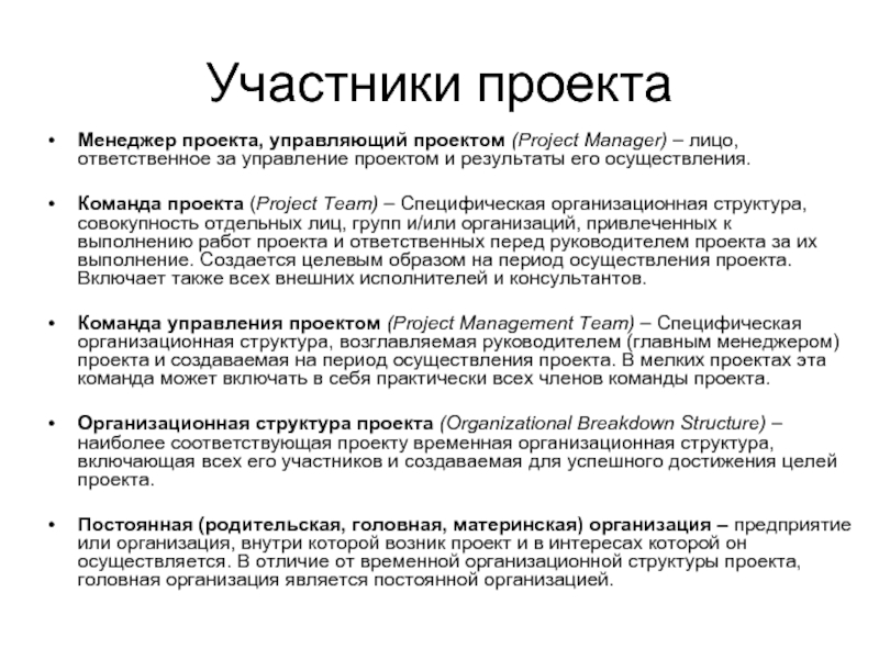 Специфическая организационная структура возглавляемая руководителем проекта