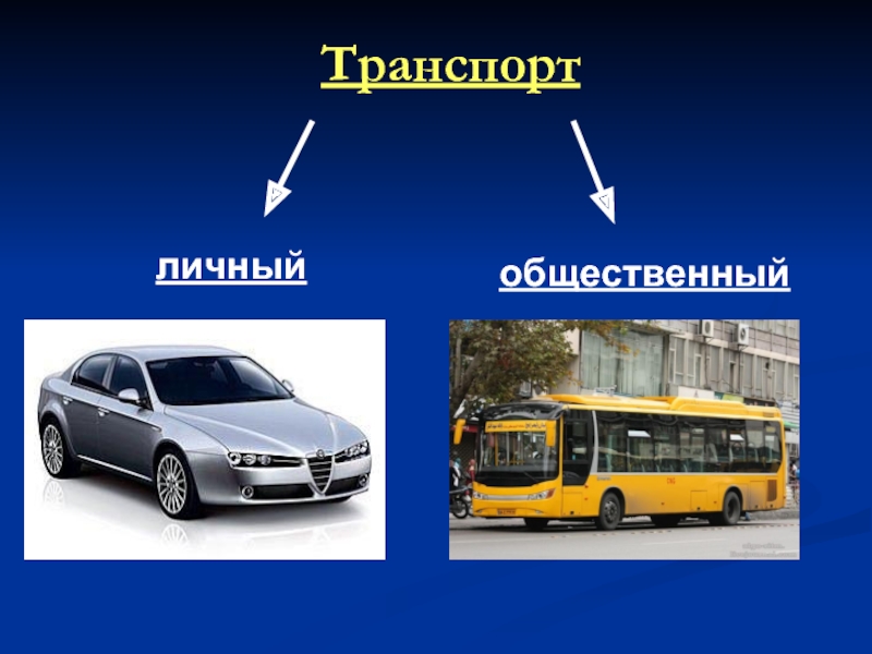 Урок окружающий транспорт. Транспорт. Личный транспорт. Личный и общественный транспорт. Виды транспорта.