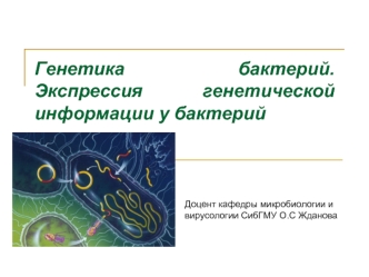 Генетика бактерий. Экспрессия генетической информации у бактерий