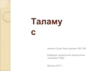 Таламус. Ядра таламуса