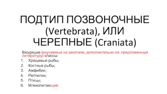 Подтип Позвоночные (vertebrata), или Черепные (craniata)