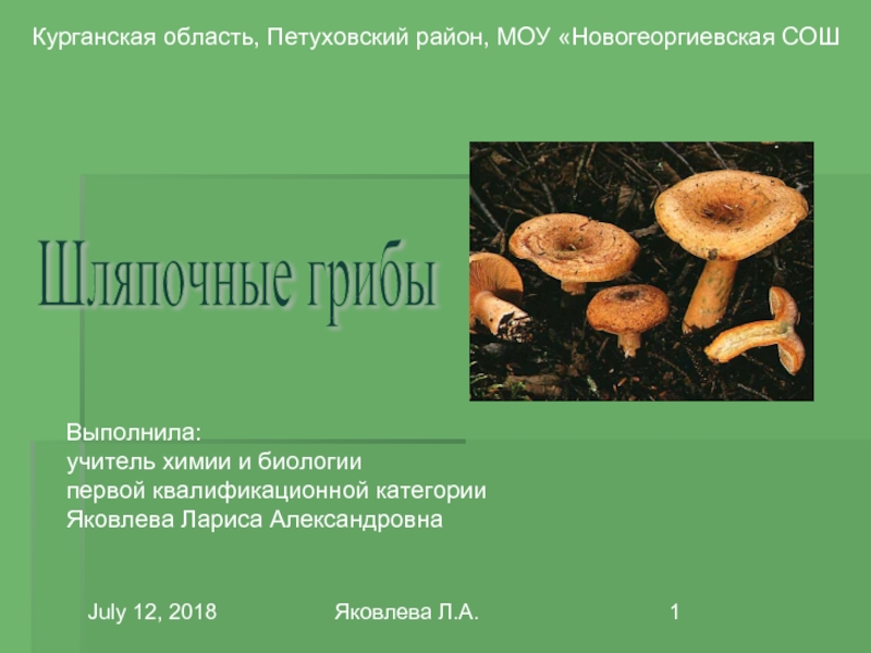 Шляпочные грибы водоросли. Несъедобные Шляпочные грибы список. Виды почвенных грибов. Учебник грибов. Грибы учебник Андреева.