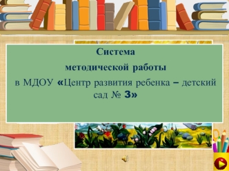 МДОУ Центр развития ребенка – детский сад № 3