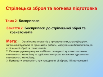 Боєприпаси до стрілецької зброї та гранатометів