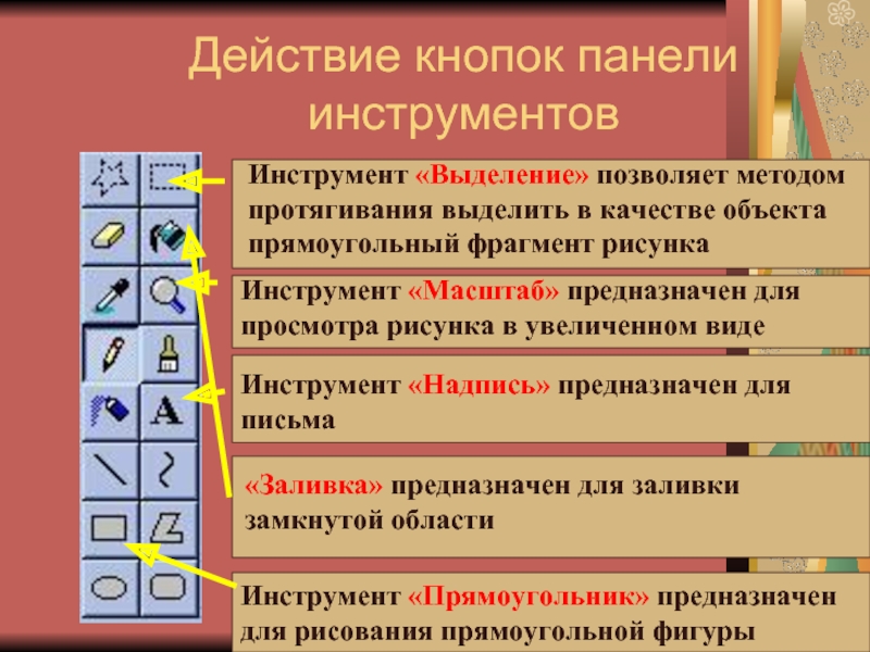 Кнопки панели инструментов. Кнопка панели инструментов. Панель инструментов это в информатике. Инструмент масштаб. Инструменты выделения предназначены для.