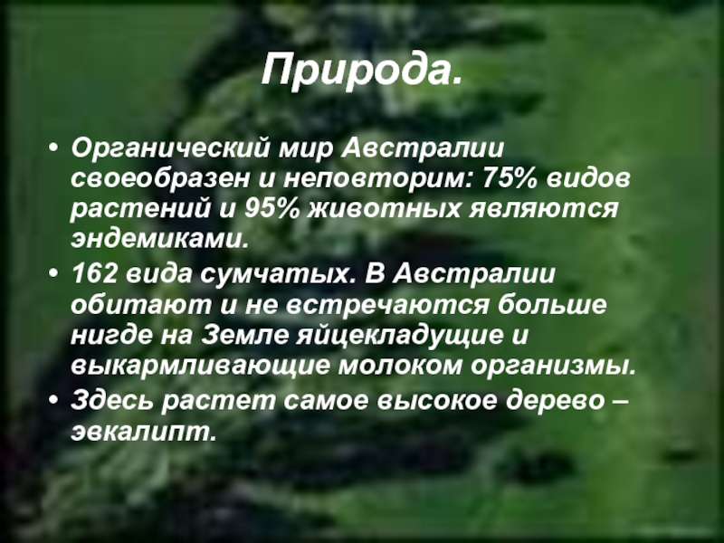 Факты о природе. Органический мир Автсрали. Охрана природы Австралии. Интересные факты о природе Австралии. Интересные факты о природе.