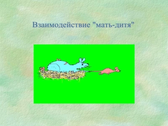 Взаимодействие мать-дитя