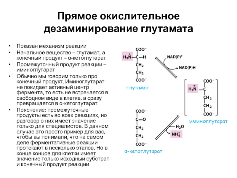 Аминокислоты и простые углеводы