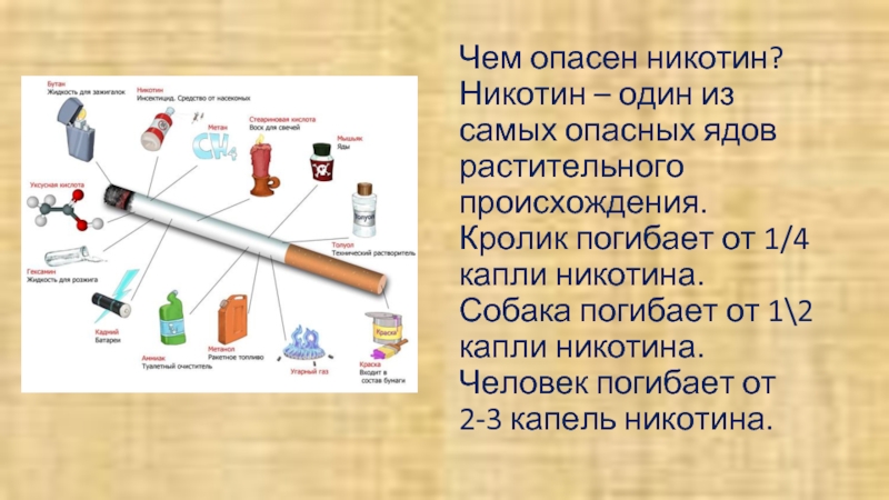 Использование никотина. Презентация на тему никотин. Чем опасен никотин. Чем вреден никотин.