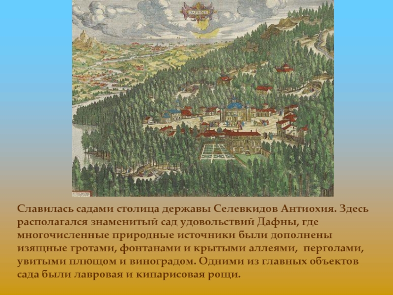 Где находится знаменитый. Роща Дафны Антиохия. Столица Селевкидов Антиохия. Парка Дафны в Антиохии. Столицы державы.