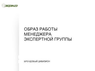 Образ работы менеджера экспертной группы. Брендовый дивизион