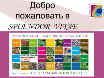 Добро пожаловать вSPLENDOR  VITAE