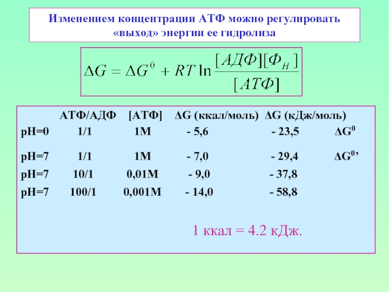 Изменением концентрации АТФ можно регулировать «выход» энергии ее гидролиза 		АТФ/АДФ