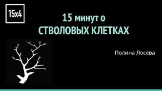 15 минут о стволовых клетках