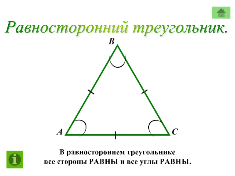 Равносторонний треугольник.  А В С  В равностороннем треугольнике  все