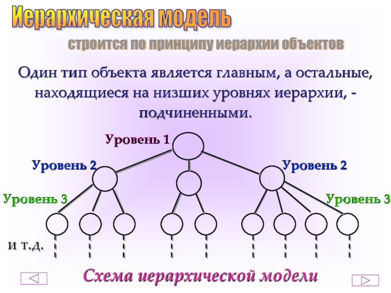 Принцип иерархии. Иерархия объектов. Иерархический принцип. Схема иерархии. Уровня иерархии схема.