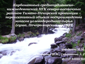 Карбонатный среднеордовикско-нижнедевонский НГК северо-восточных районов Тимано-Печорской провинции – перспективный объект воспроизводства запасов углеводородного сырья                   (суша, Печороморский шельф)