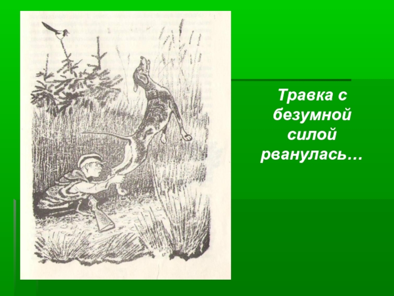 Иллюстрации к произведениям Пришвина. Пришвин кот. Травка пришвин. Рисунок на тему Пришвина.