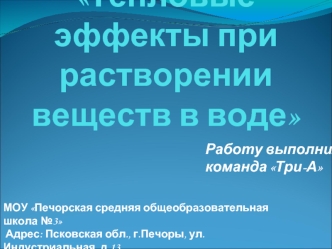 Работу выполнила 
команда Три-А